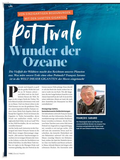 Magazin 2026-08-03